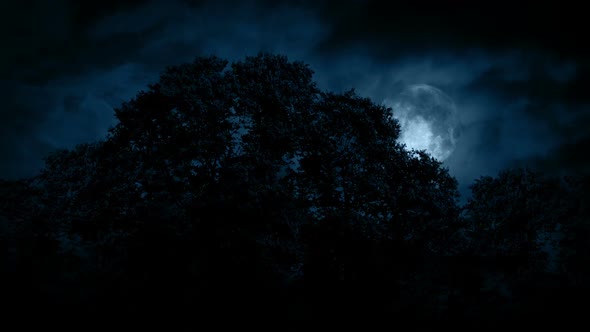 Scary Full Moon Over The Woods, Stock Footage | VideoHive