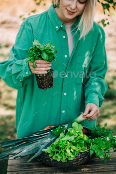 Stylish woman in green shirt sort vegetables in basket on wooden table in outdoor