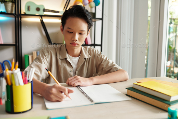 Teenage Vietnamese Boy Doing Homework