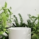 White circle pedestal in tropical forest for product presentation and white wall. - PhotoDune Item for Sale