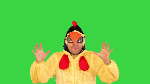 Witty Artist in Chicken Costume Tells Something Very Emotionally Making Some Gestures on a Green