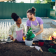 Multiracial couple transplanting flowers while working in a greenhouse - PhotoDune Item for Sale