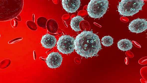 Animation of HIV Virus flowing in the bloodstream with Erythrocytes alt