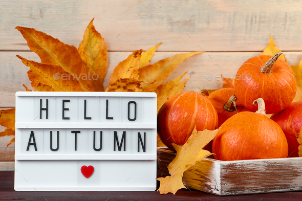 Hello autumn. Ripe pumpkins and yellow leaves in a wooden box.