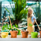 close-up view of pots with gardening tools and young woman standing behind in greenhouse - PhotoDune Item for Sale
