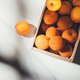 flat lay with ripe apricots in wooden box on light marble surface - PhotoDune Item for Sale