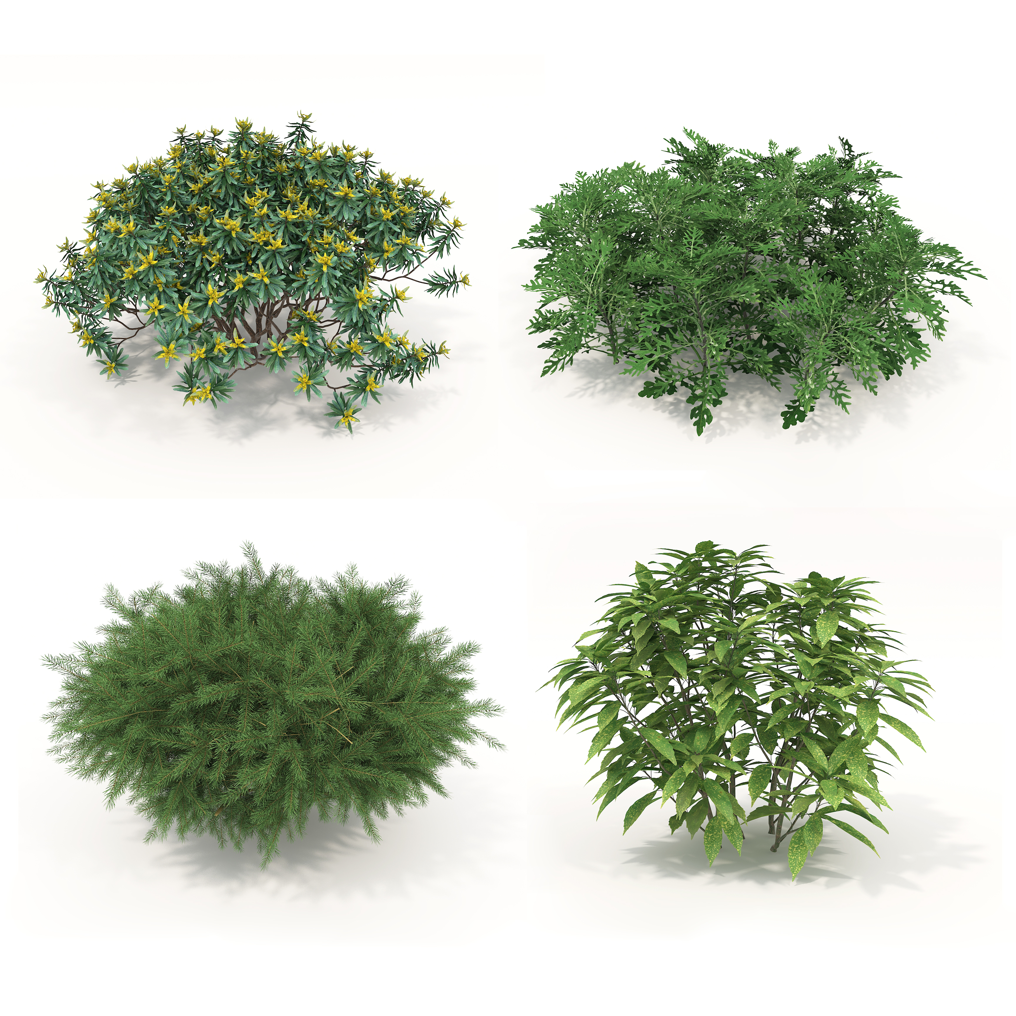 Realistic Shrub Bush Set