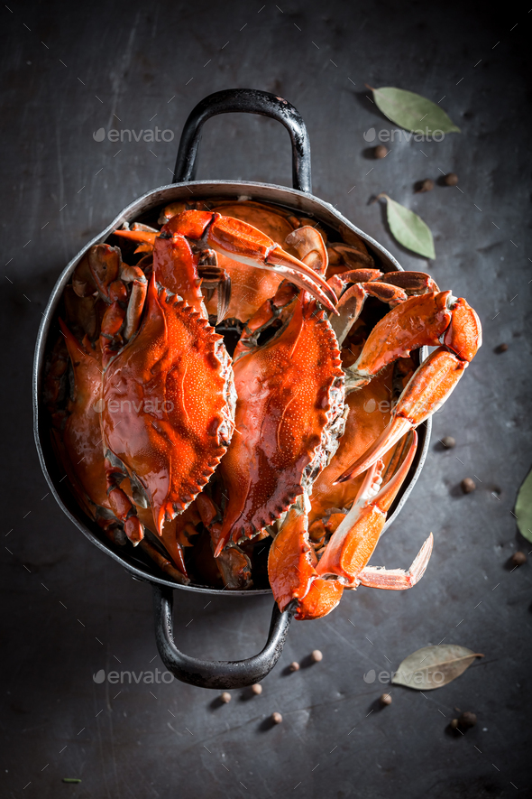 Preparation for fresh red crabs with bay leaf and allspice. Stock Photo