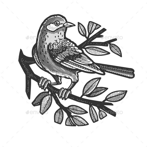 Colorful cute blue bird vector illustration standing on top of tree branch.  Outlined full coloured drawing isolated on white landscape horizontal  background. Simple flat art styled animal drawing. 23340751 Vector Art at