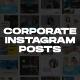 Corporate Instagram Posts - VideoHive Item for Sale