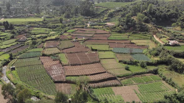 Farmland fields  pattern at tea plantation, Munnar, India. Aerial forward alt
