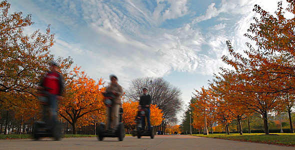 Chicago Autumn Park  alt