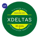 XDELTAS - Digital Elevator Pitch Presentation GSL Templates