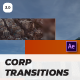 Corporate Transitions After Effects 3.0 - VideoHive Item for Sale
