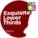 Exquisite Lower Thirds. - VideoHive Item for Sale