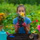 The child is planting flowers in the garden. Selective focus. - PhotoDune Item for Sale