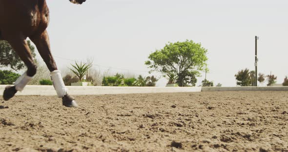 Caucasian woman riding her horse alt