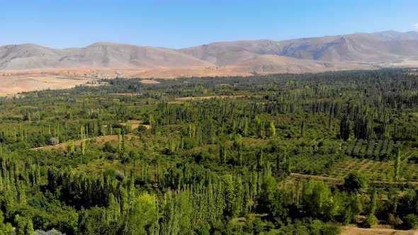 Forest and Mountd alt