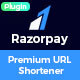 Razorpay Payment & Subscription Plugin for Premium URL Shortener