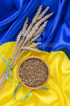 Fabric wave flag of Ukraine with wheat spikes. Blue and yellow bright colors