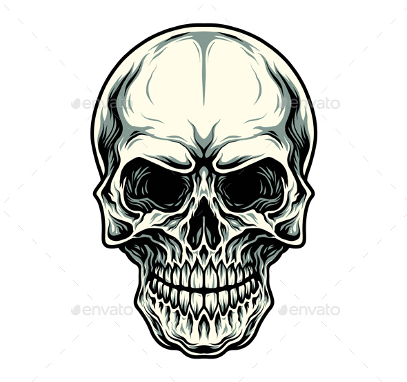 Illustration of Skull