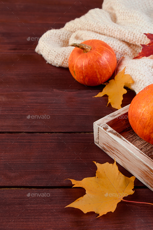Hello autumn. Pumpkins and yellow leaves in wooden box. Eco-friendly farm products. Harvest and