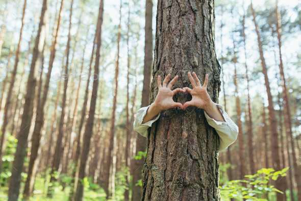 hands of a young woman hug a tree in the forest and show a sign of ...