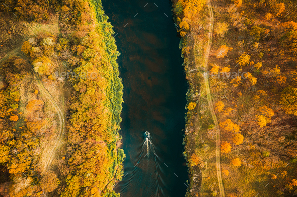 Aerial view of forest woods and river marsh bog in autumn sunny day. Bird\'s eye view of marsh bog