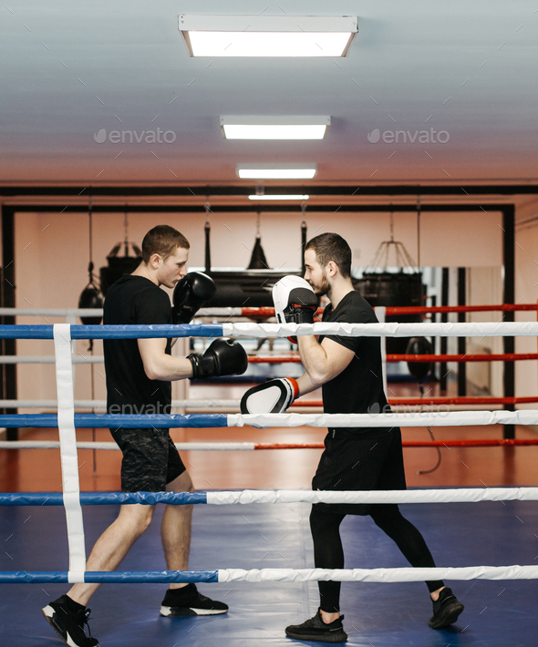 Boxers train in the ring and in the gym Stock Photo by yavorandriy