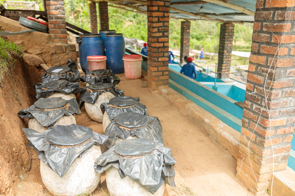 Coffee storage at washing station in moutain region of eastern Africa