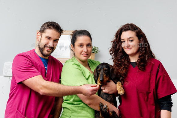 veterinary clinic staff