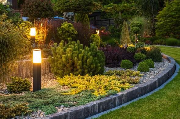 Illuminated by Modern LED Lights Backyard Garden