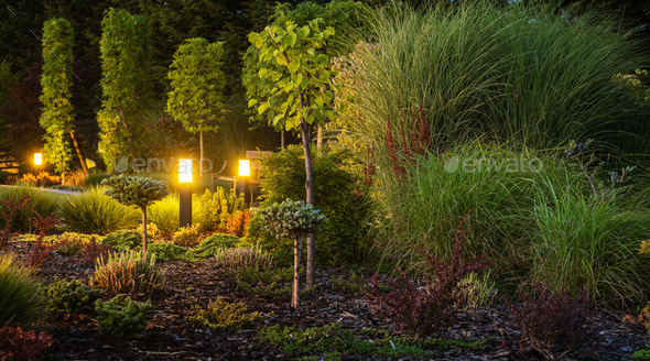 Decorative Backyard Garden Illuminated by Garden Lighting