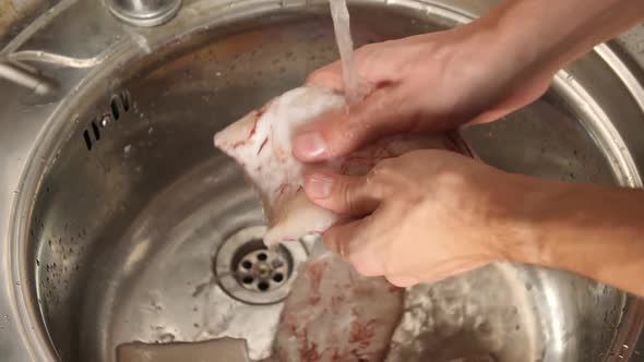Men's Hands Wash and Clean Squid Under Running Water. Preparing Seafood for Cooking.