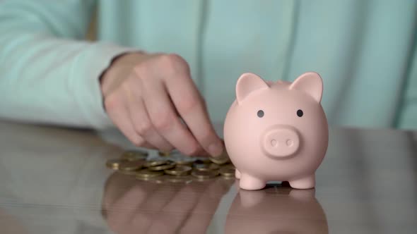 Female hand puts coins in a piggy bank. Money saving concept alt