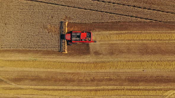 Picturesque view on the field during seasonal works alt