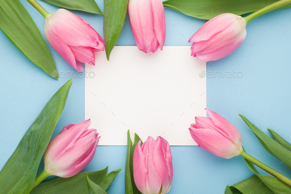 Birthday or wedding mockup with white paper list, pink tulip flowers on blue background top view