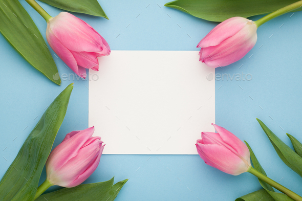 Birthday or wedding mockup with white paper list, pink tulip flowers on blue background top view
