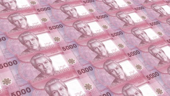 Chile Money / 5000 Chilean Peso 4K alt