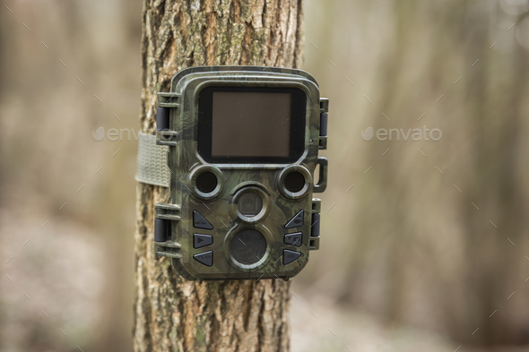 Wildlife monitoring camera trap attached to a tree by a strap in autumn forest