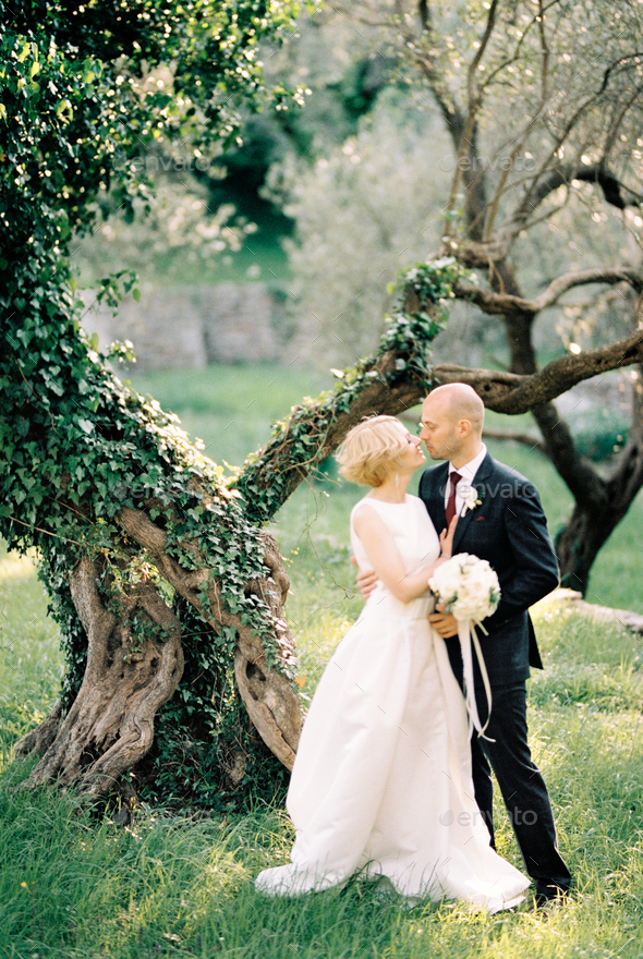 Groom hugs and almost kisses bride near the ivy-covered tree in the park