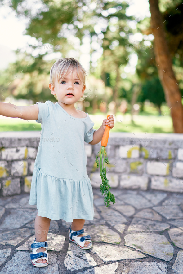 Little girl with a carrot in her hand stands in the park and points to the side