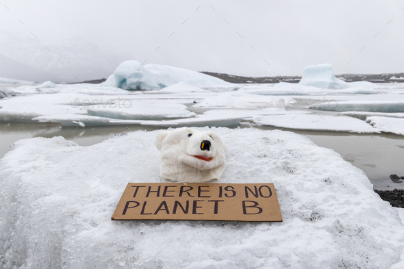 Polar bear mask on a glacier with a message to humanity 