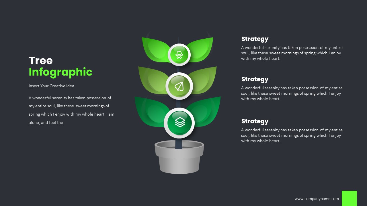 Tree Infographic PowerPoint, Presentation Templates | GraphicRiver