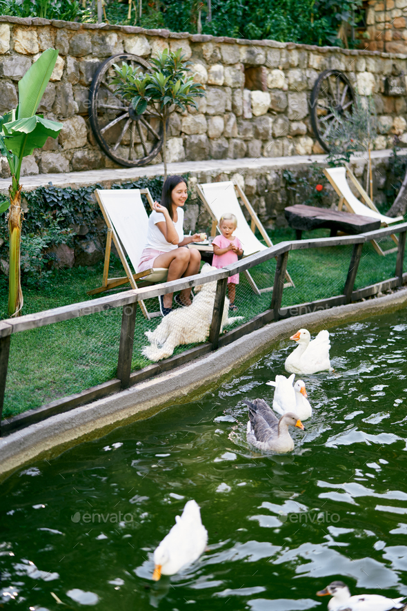 Mom and daughter sit on chairs on the lawn and feed the ducks on the pond