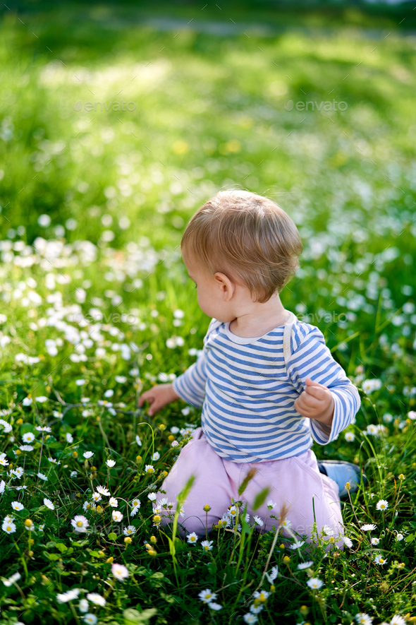 Baby kneels in the middle of a flower meadow, turning back
