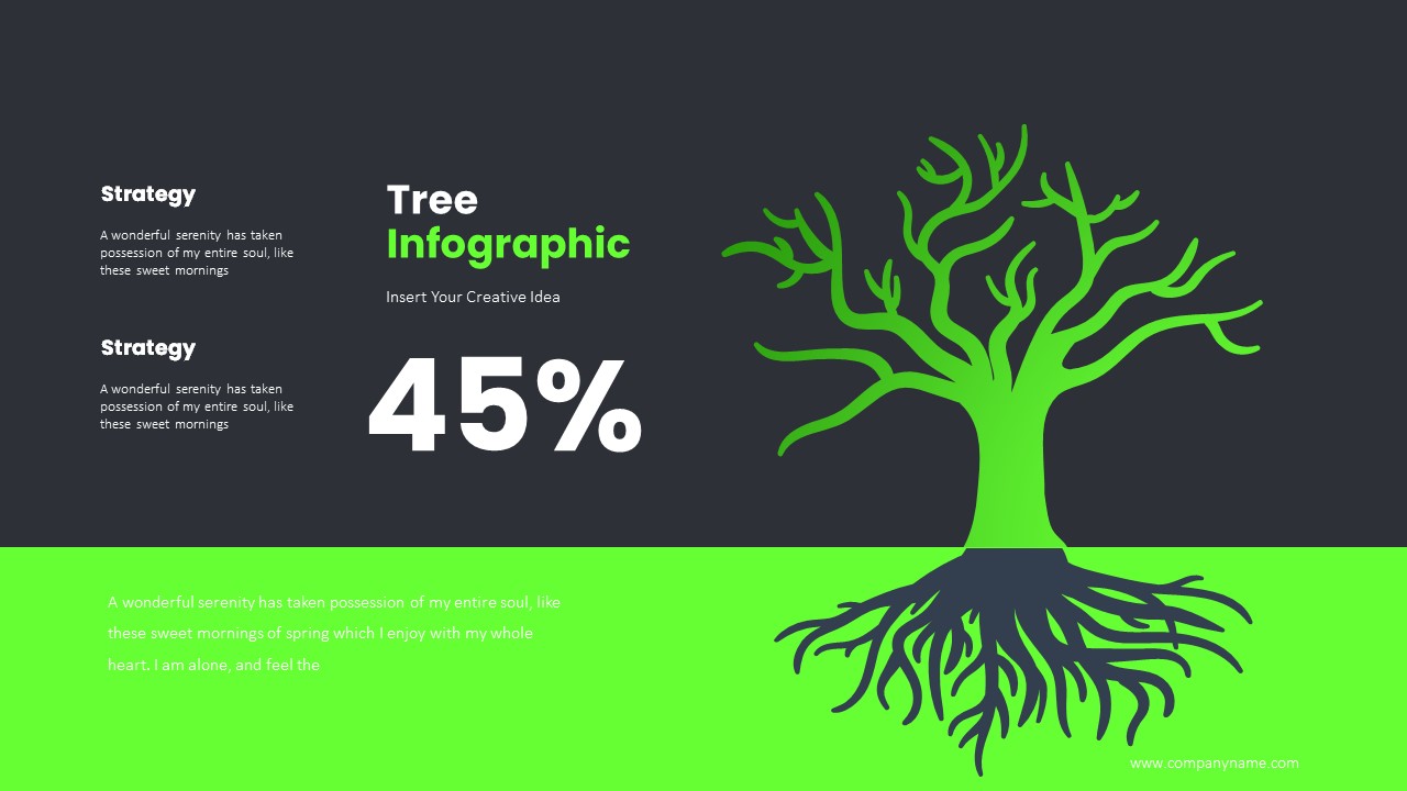 Tree Infographic Keynote templates, Presentation Templates | GraphicRiver