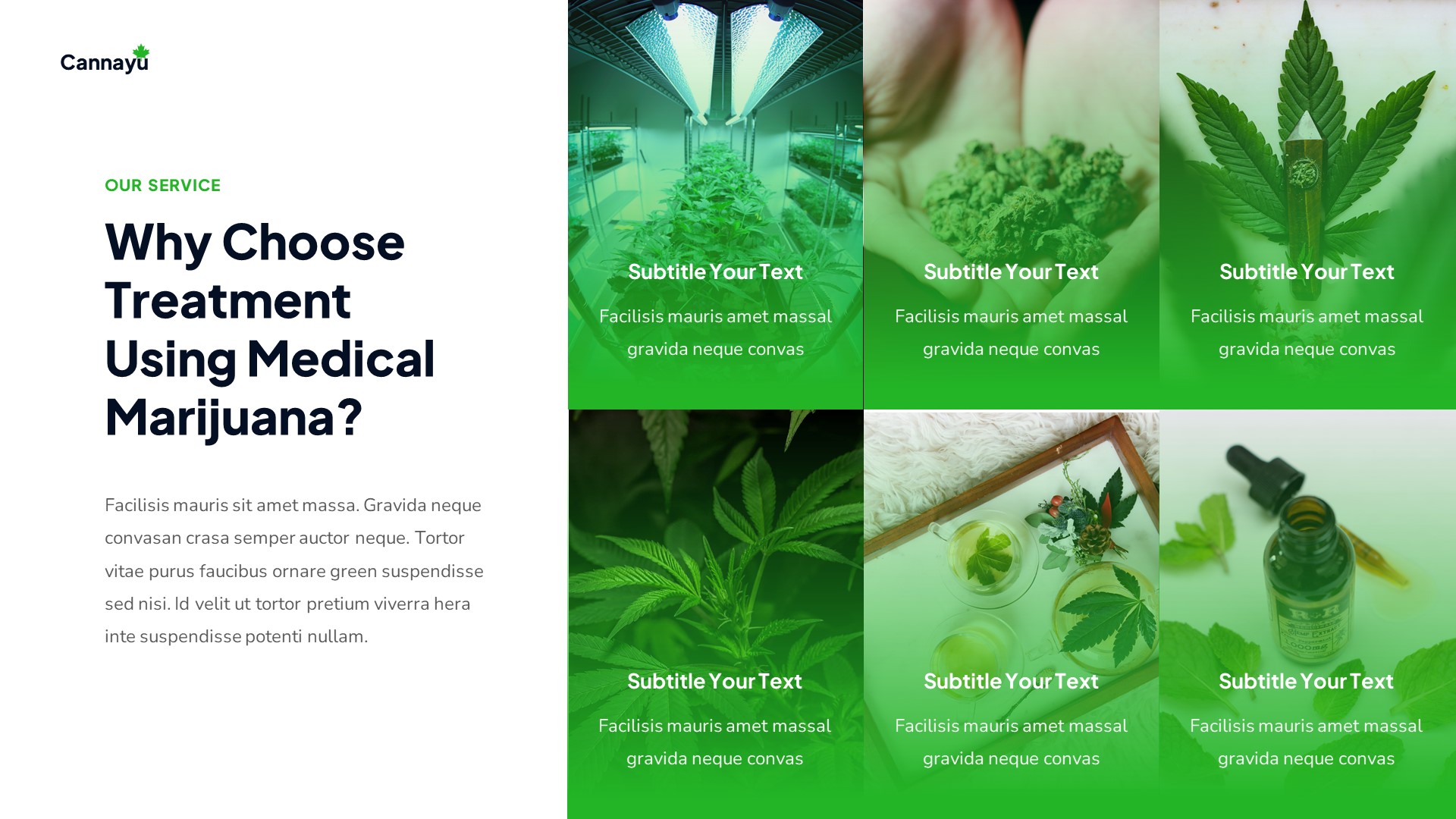 Cannayu - Medical Marijuana & Cannabis PowerPoint Template ...