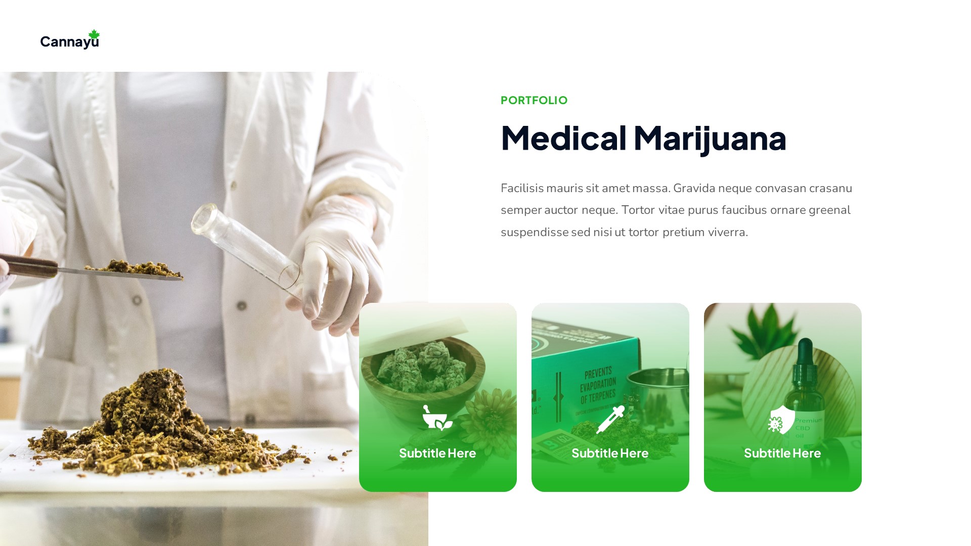 Cannayu - Medical Marijuana & Cannabis PowerPoint Template ...