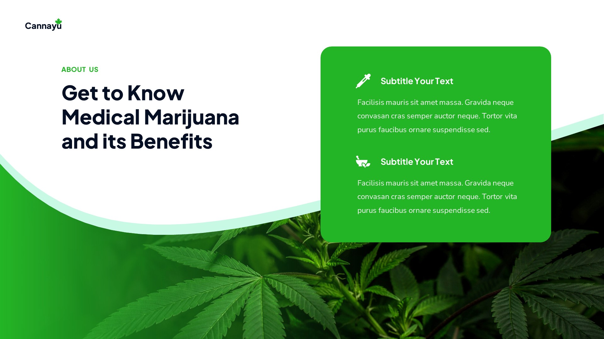 Cannayu - Medical Marijuana & Cannabis PowerPoint Template ...